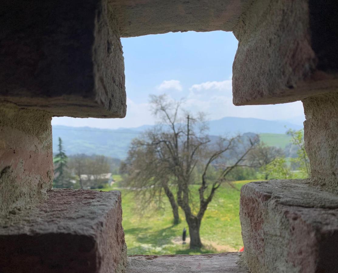 Agriturismo Il Filare Neviano degli Arduini Экстерьер фото