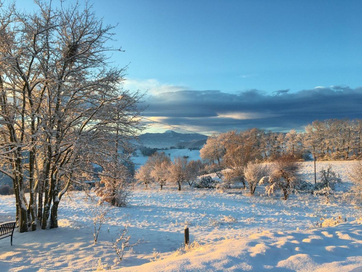 Agriturismo Il Filare Neviano degli Arduini Экстерьер фото
